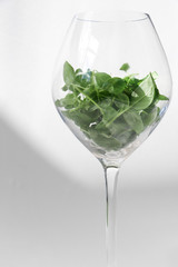 green basil in the original serving: in a glass. healthy greens. Phytonutrients. Fresh basil close-up. beautiful highlights.