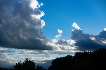 built animals in the clouds blue sky dark silhouette