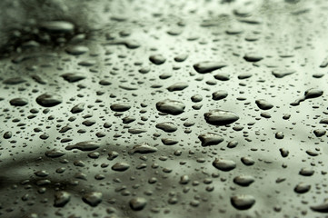 Abstract Background of raindrop early morning after heavy  rain