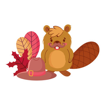 Cute beaver cartoon with hat and leaves vector design