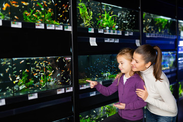 Girl with mother looking at aquarium fish in pet shop