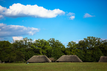 Fototapeta na wymiar A large green field and straw roofs of Ukrainian style houses: village.
