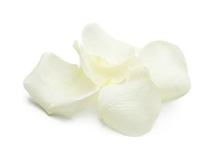 Fototapeta na wymiar Beautiful rose petals on white background