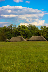 Fototapeta na wymiar A large green field and straw roofs of Ukrainian style houses: village.