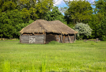 Fototapeta na wymiar A large green field and straw roofs of Ukrainian style houses in the village. 