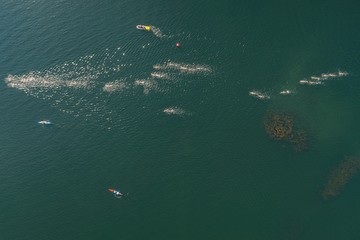 Triathlon swimming contest in lake swimmers competition aerial drone photo 