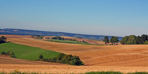 paysage beaujolais