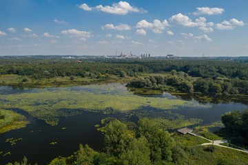 Aerial drone photo pier on green lake in Poland