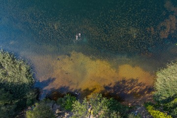 Holiday vacation on the sandy beach, sunbathing i swimming in the water aerial drone photo
