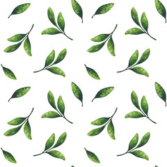 Green leaf. Seamless pattern with a watercolor illustration on a white background. Eco-friendly plant ornament. Minimalistic, chaotic pattern for a stylish print.