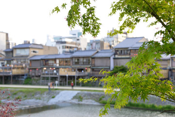 Fototapeta na wymiar 京都鴨川風景