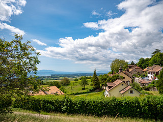 The lush green vineyards, villages and walking trails of the Swiss canton of Vaud situated along the shores of Lake Geneva overlooking the French and Swiss alps.