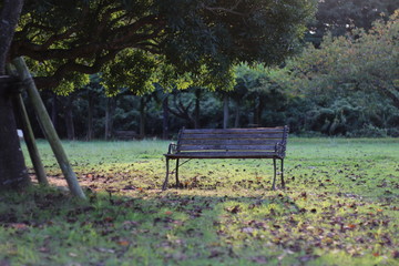 公園のベンチ