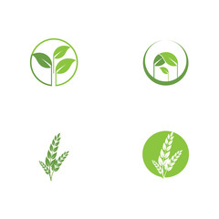 Set Leaf Logo Template vector