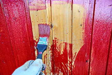 Painted wooden planks and cutaway wood structure used as a base and backgrounds.