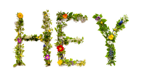 Flower, Branches And Blossom Letter Building English Word Hey. White Isolated Background