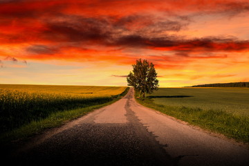 Fototapeta na wymiar Sunset over empty countryside road. Summer evening. Czech Republic.