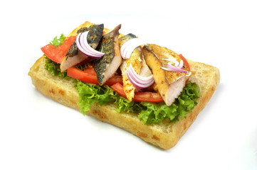 grilled fish toast with fresh tomato, onion and green salad isolated on white background