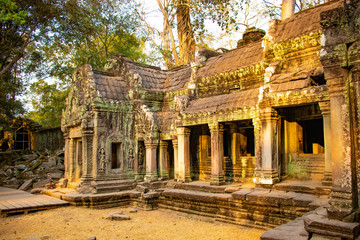 A beautiful view of Ta Phrom temple at Siem Reap, Cambodia.