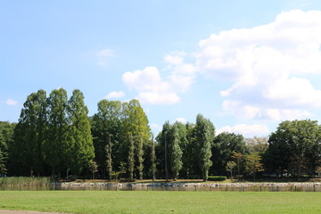 公園の風景