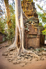 A beautiful view of Ta Phrom temple at Siem Reap, Cambodia.