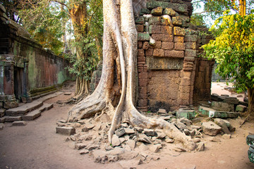 A beautiful view of Ta Phrom temple at Siem Reap, Cambodia.