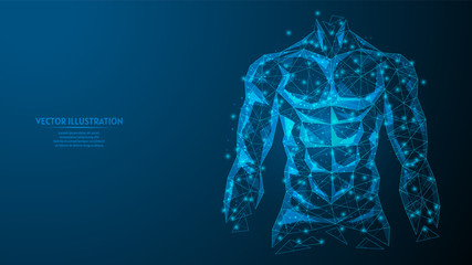 Torso of a man close-up. Inflated athletic muscular body. The concept of sports, healthy eating, healthy lifestyle. 3d low poly wireframe model vector illustration. - obrazy, fototapety, plakaty