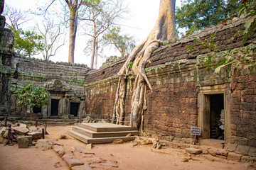 Naklejka premium Piękny widok na świątynię Ta Phrom w Siem Reap w Kambodży.