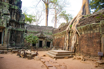 A beautiful view of Ta Phrom temple at Siem Reap, Cambodia.