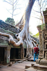 Naklejka premium A beautiful view of Ta Phrom temple at Siem Reap, Cambodia.