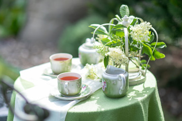 Two cups of hot tea. Glass Cups Tea. Outdoor.