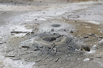 Late Spring in Yellowstone National Park: Milky Complex Vents in the Porcelain Basin Area of Norris Geyser Basin