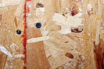 Wood shavings pressed into slabs used as a base and backdrop.