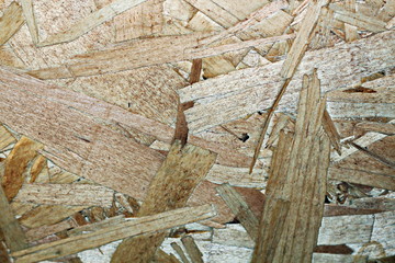 Wood shavings pressed into slabs used as a base and backdrop.