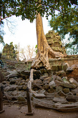 A beautiful view of Ta Phrom temple at Siem Reap, Cambodia.