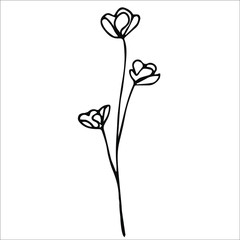 Simple line flowers. Spring flower outline. Isolated flower stock illustration. Flower in bloom. Black flower on white background.