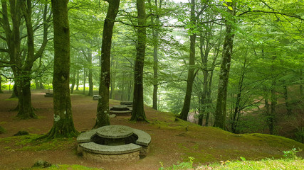 Miejsce na odpoczynek i posiłek w górskim lesie w regionie Navarra w Hiszpanii.