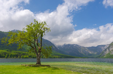 Clear blue water of lake Bohinj, Julian Alps, the largest permanent lake in Slovenia. Beautiful mountain landscape in spring.