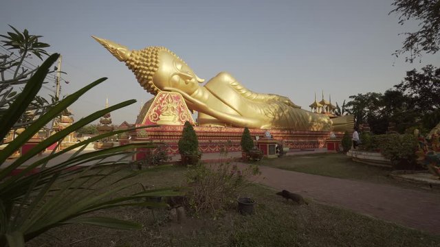 Panning shot of women praying at large reclining golden Buddha statue by plants against sky - Vientiane, Laos