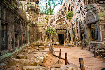 Fototapeta premium Piękny widok na świątynię Ta Phrom w Siem Reap w Kambodży.