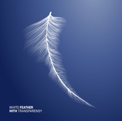 White fluffy feather, vector isolated realistic quill on blue background. Goose or swan bird feather symbol with detailed plumage texture, decoration element, softness symbol, concept design