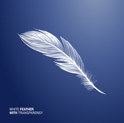 White fluffy feather, vector isolated realistic quill on blue background. Goose or swan bird feather symbol with detailed plumage texture, decoration element, softness symbol, concept design © ilonitta