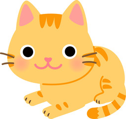 腹這いのポーズの猫