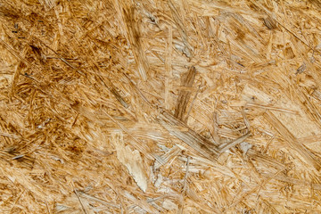 Oriented strand board