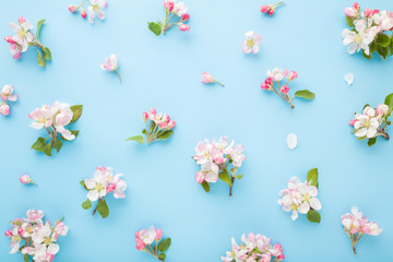 Fresh branches of white pink apple blossoms on light blue table background. Pastel color. Flat lay. Beautiful flower pattern. Closeup. Top down view.
