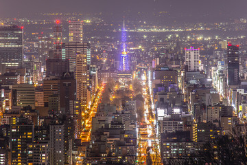 Fototapeta na wymiar 大倉山から見る札幌市夜景
