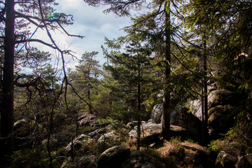 Obraz na płótnie Canvas landscape with big stones in the forest