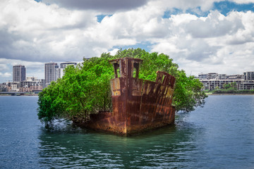 Sights Of Sydney. Ship-forest