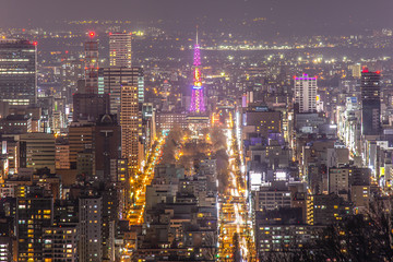 大倉山から見る札幌市夜景