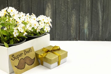 Card with greetings on the occasion of Father's Day stands near to flowers primula in a box on a white background. 